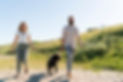 Walking the Dog