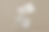PSD Gift Card PNG.png